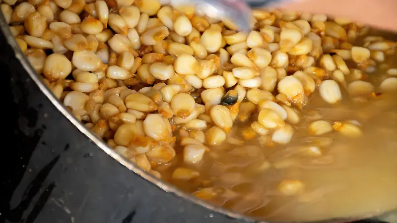 Tortillas de nopal